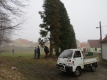 tuje-039