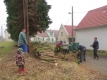 tuje-056